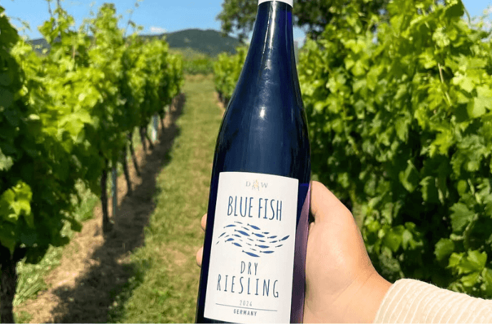 BLUE FISH DRY RIESLING PFALZ GERMAN DRY WINE 0.75L FRESHNESS PERFECT FOR HOT WEATHER